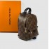 Рюкзак Louis Vuitton PALM SPRINGS MINI