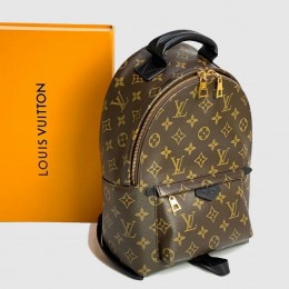 Рюкзак Louis Vuitton PALM SPRINGS PM MAX