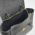 Сумка Celine NANO BELT